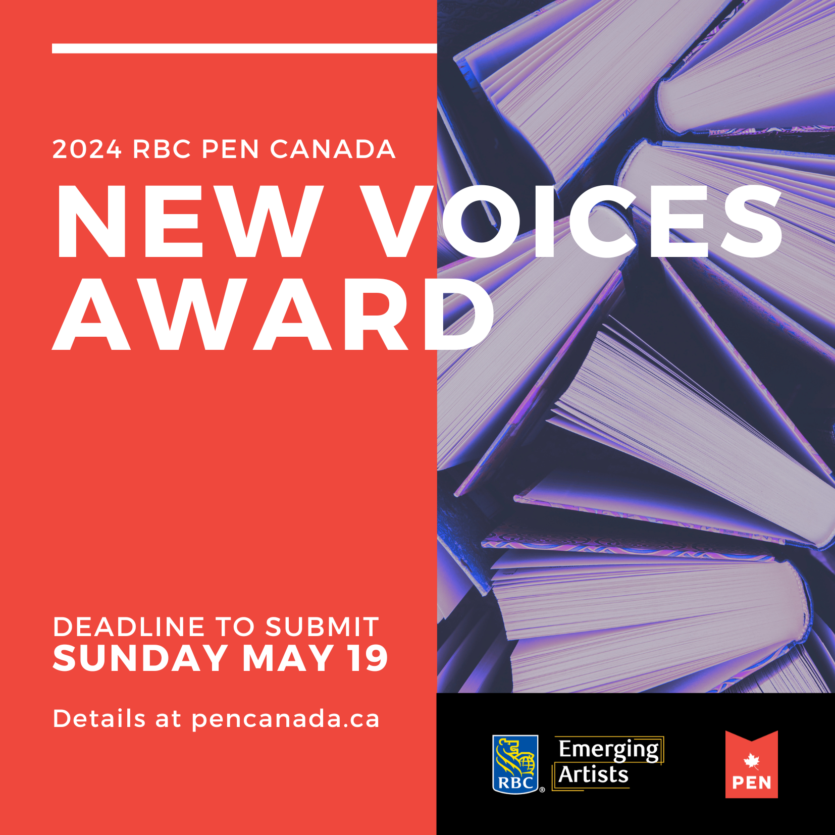 New Voices Award Image