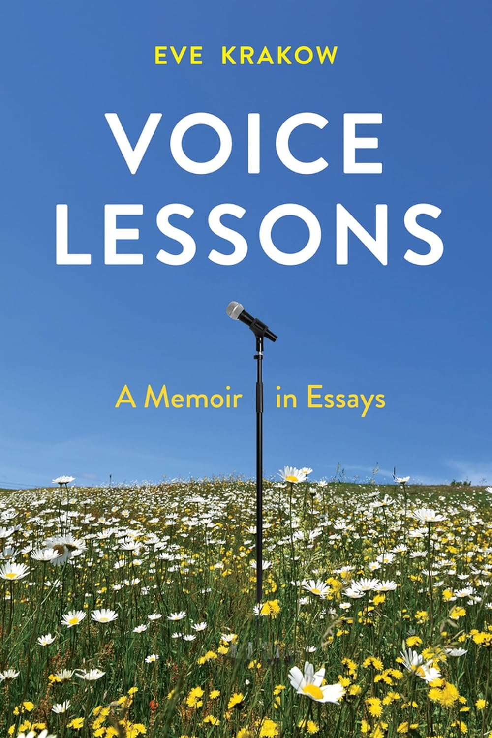 Cover of Voice Lessons