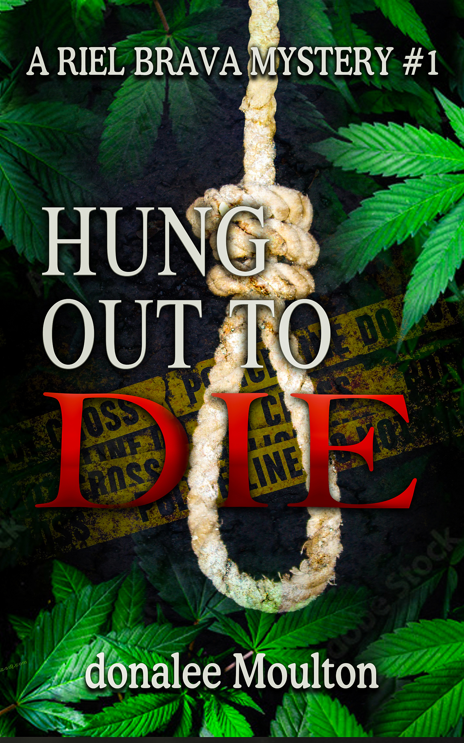 Hung Out to Die: A Riel Brava Mystery 