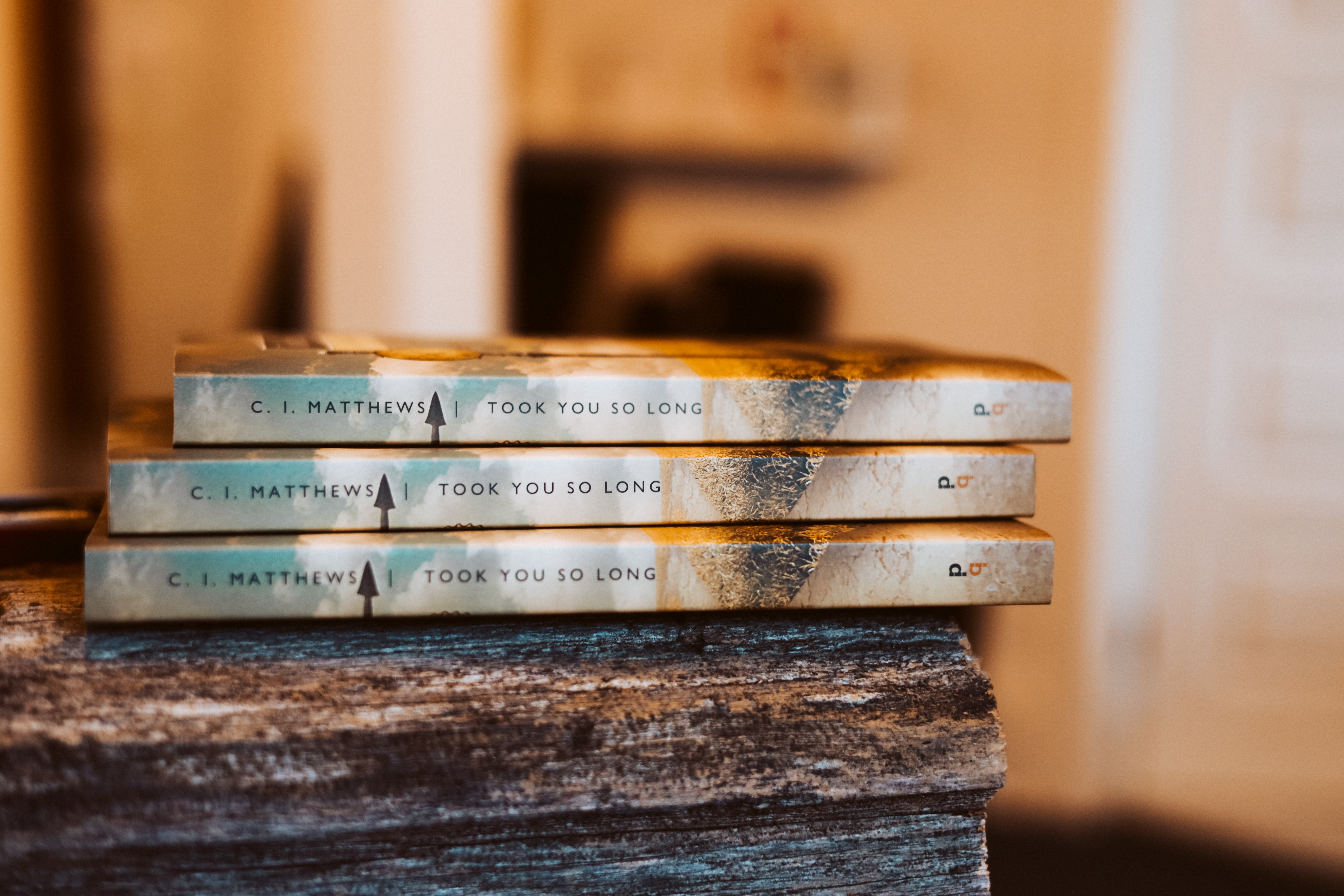 Three copies of the award-winning short story collection Took You So Long stacked on a wooden beam.