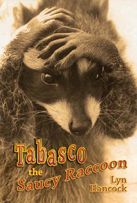 Tabasco is one of my many wildlife orphans and named after Tabasco Sauce after I heard on a local radio station that the winning entry to eradicate raccoons from Vancouver, BC was to paint all the roofs with spicy Tabasco Sauce. Mr. McIlhenny who makes Tabasco sauce saw my raccoon on the front page of the Montreal newspaper and wrote to ask me why I named Tabasco after his sauce. Later I was to write another book LOOKING FOR THE WILD which describes how his family brought animals back from extinction. 