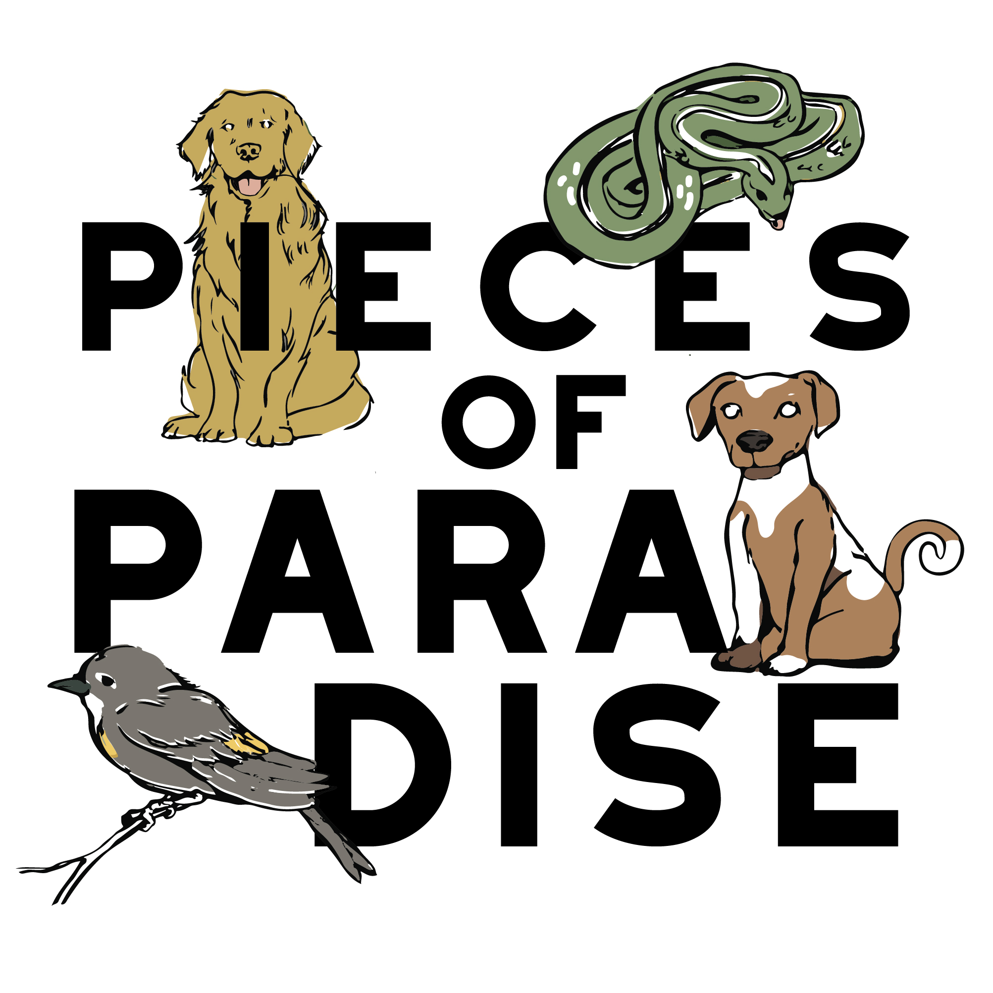 Pieces of Paradise is an inspiring audio play about four humans and their animal witnesses