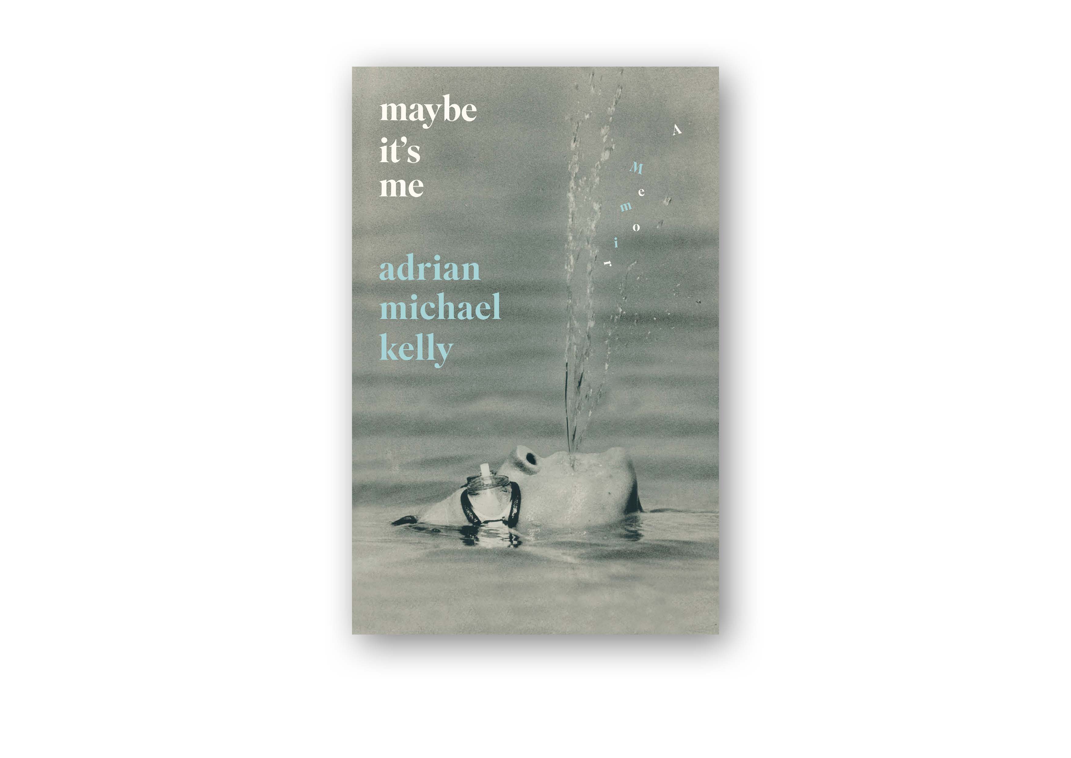 A raw and riveting memoir of collapse, recovery, and reinvention.