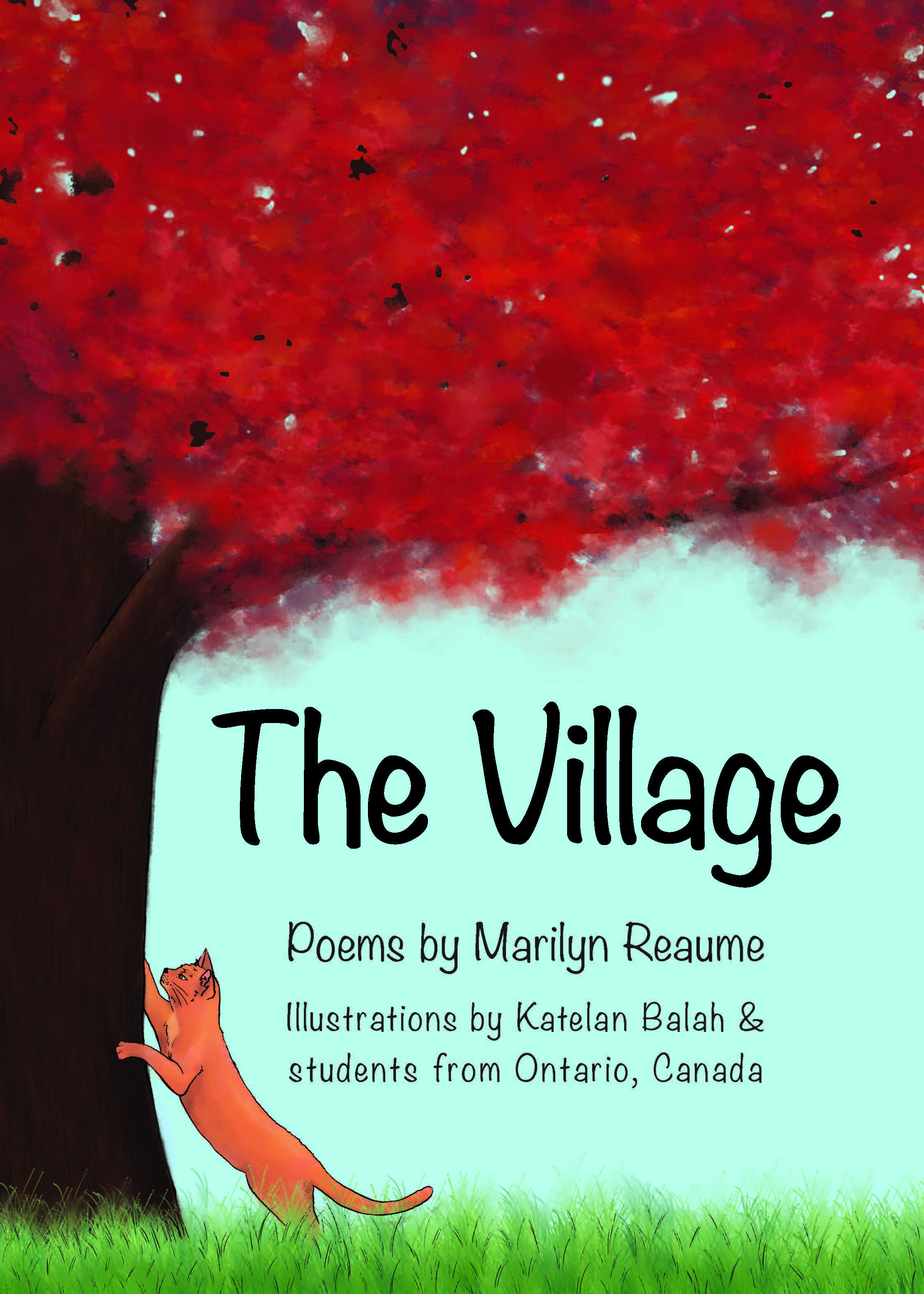 Marketing for children's poetry book series "The Village"
