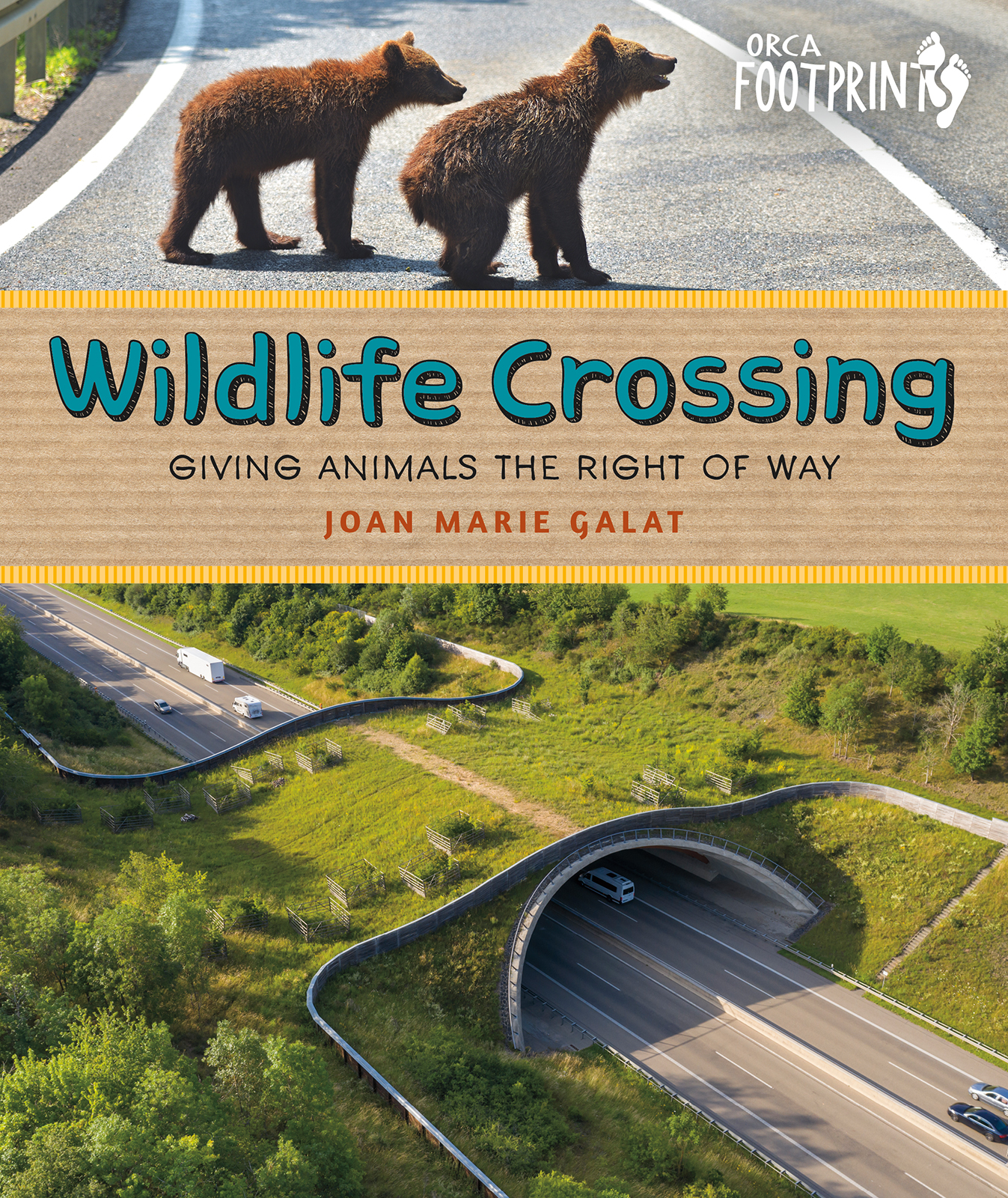 Book cover showing two bears crossing a road and a wildlife overpass